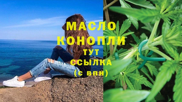 прущие грибы Волоколамск