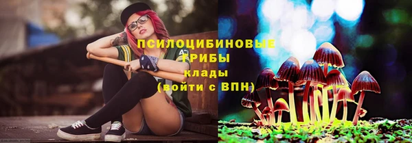 прущие грибы Волоколамск