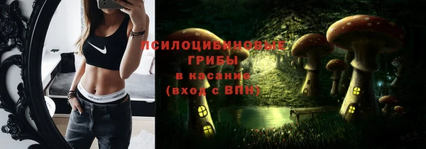прущие грибы Волоколамск