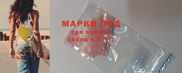 прущие грибы Волоколамск
