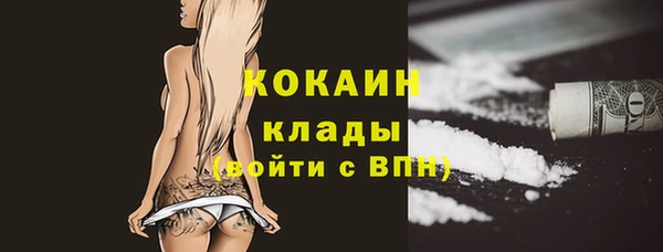 прущие грибы Волоколамск