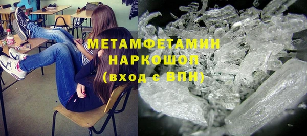 прущие грибы Волоколамск