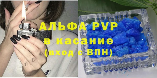 прущие грибы Волоколамск