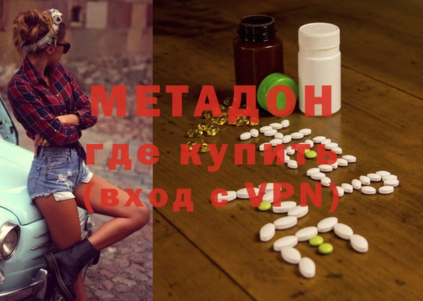 прущие грибы Волоколамск