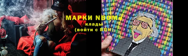 прущие грибы Волоколамск