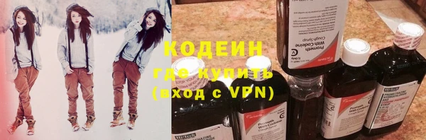 прущие грибы Волоколамск